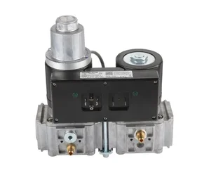 Двойной электромагнитный клапан Brahma GVC30*S2Z*L2X*SRD*P 13992623